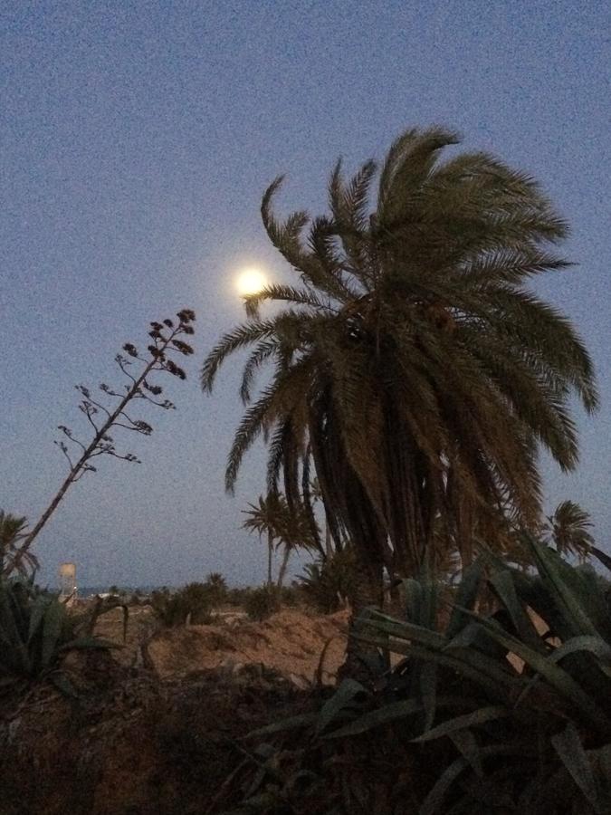 Dar Jasmin Djerba Panzió Temlale Kültér fotó